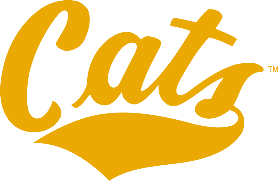 Montana State Bobcats 2006-2013 Wordmark Logo iron on transfers for clothing